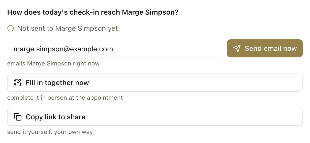 The delivery screen asking how today's check-in reaches the client, with their email address beside a gold Send email now button, then Fill in together now and Copy link to share.